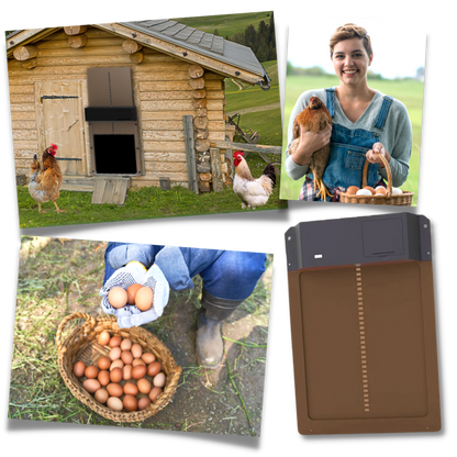 Porte Automatique pour Poulailler