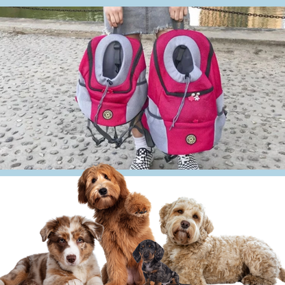 Sac à dos respirant de transport pour chien