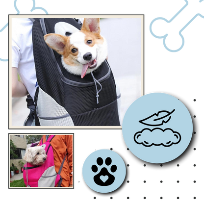 Sac à dos respirant de transport pour chien