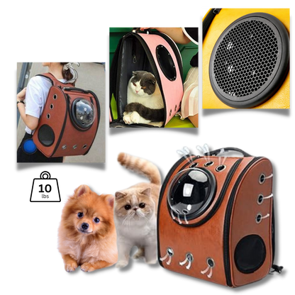 Sac à dos de voyage pour chats