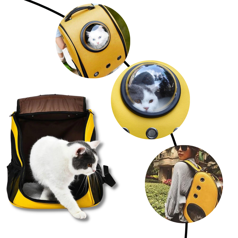 Sac à dos de voyage pour chats