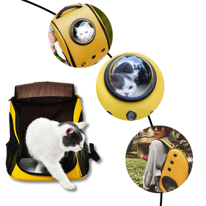 Sac à dos de voyage pour chats