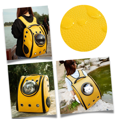 Sac à dos de voyage pour chats