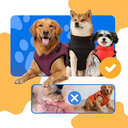 Veste d'hiver confortable pour chien