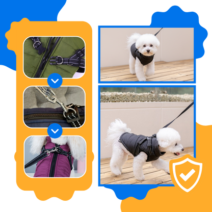 Veste d'hiver confortable pour chien