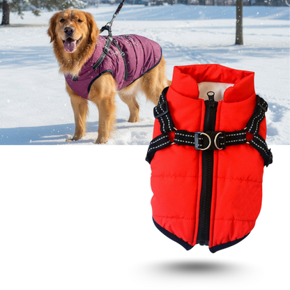 Veste d'hiver confortable pour chien