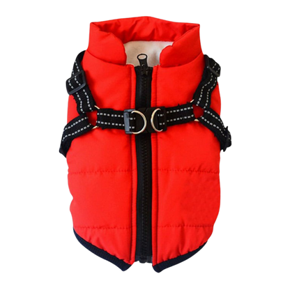 Veste d'hiver confortable pour chien