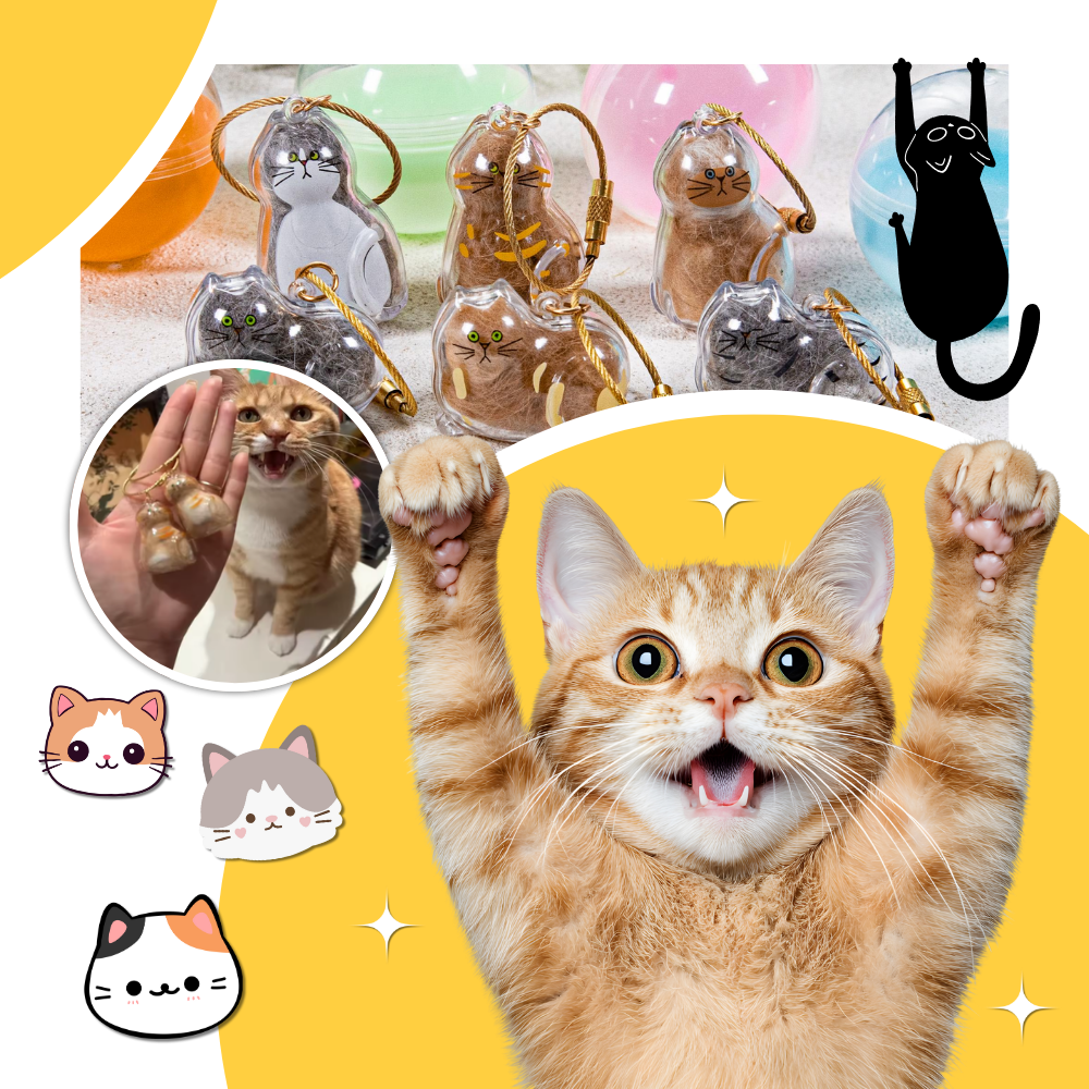 Porte-clés capsule poils de chat