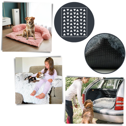 Protège-meubles apaisant pour chiens