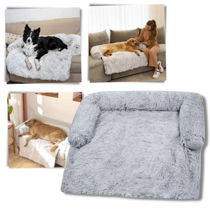 Protège-meubles apaisant pour chiens