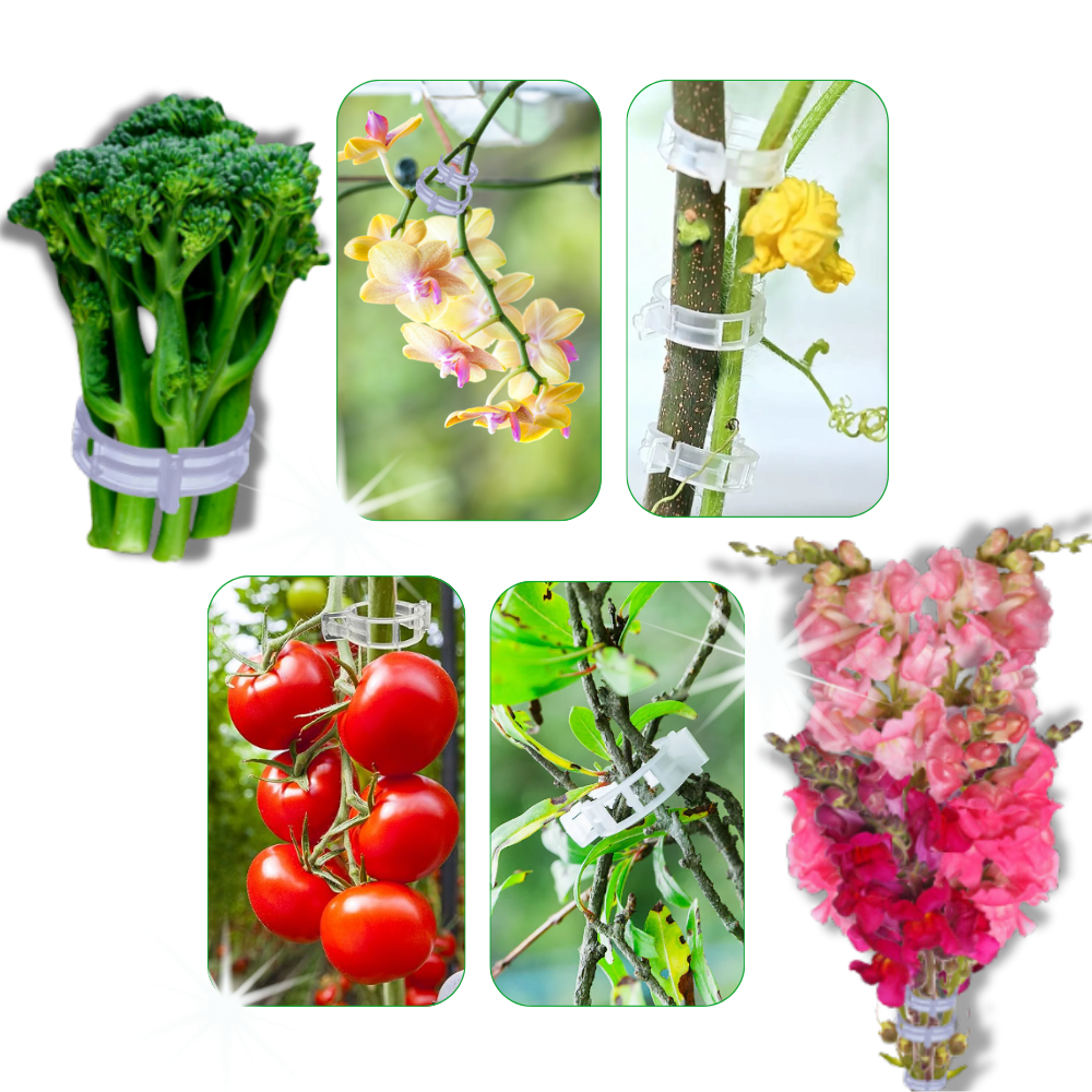 Support de plantes facile à clipser