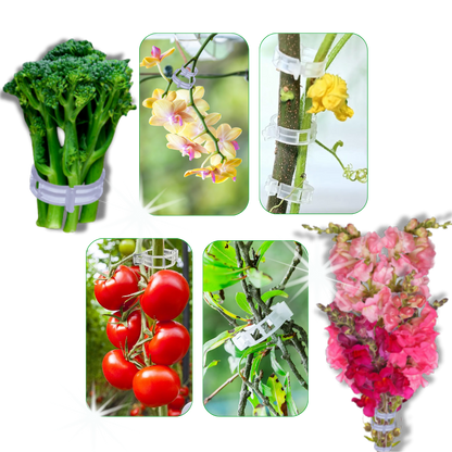 Support de plantes facile à clipser
