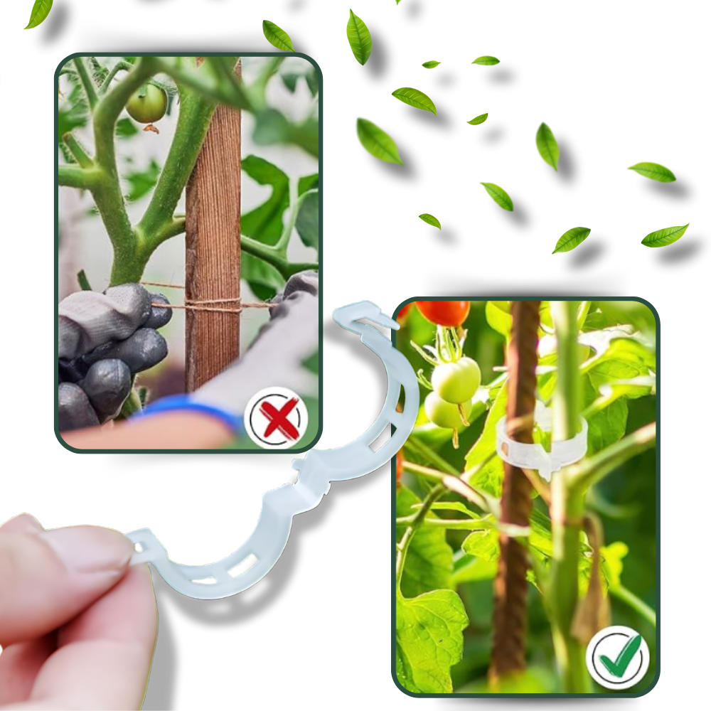 Support de plantes facile à clipser