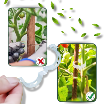 Support de plantes facile à clipser