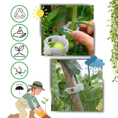 Support de plantes facile à clipser