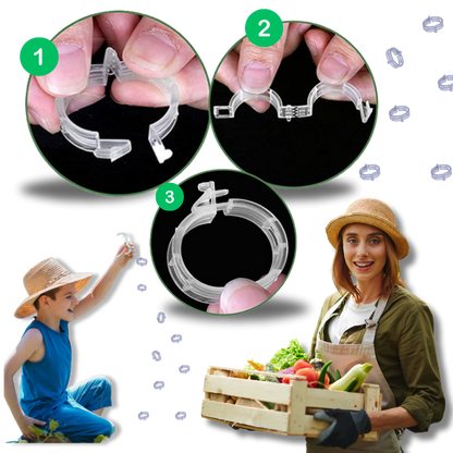 Support de plantes facile à clipser