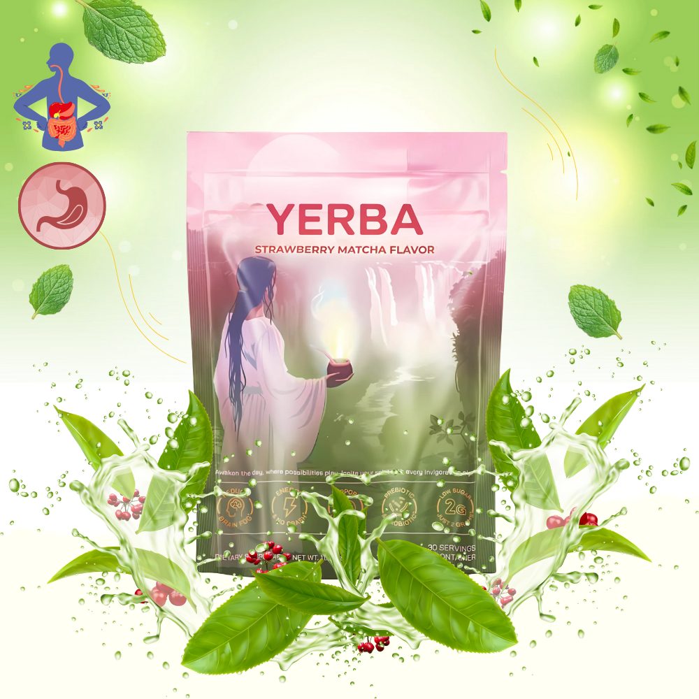 Thé Matcha Maté en poudre