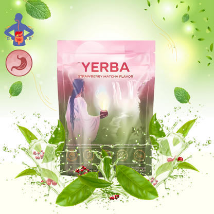 Thé Matcha Maté en poudre