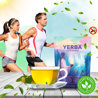 Thé Matcha Maté en poudre