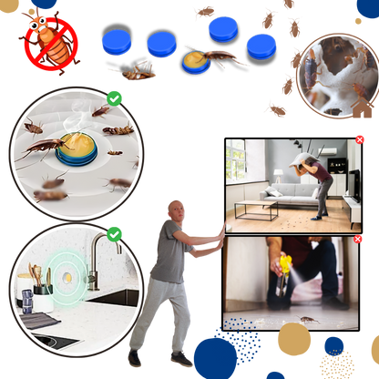 Pièges à blattes sans odeurs