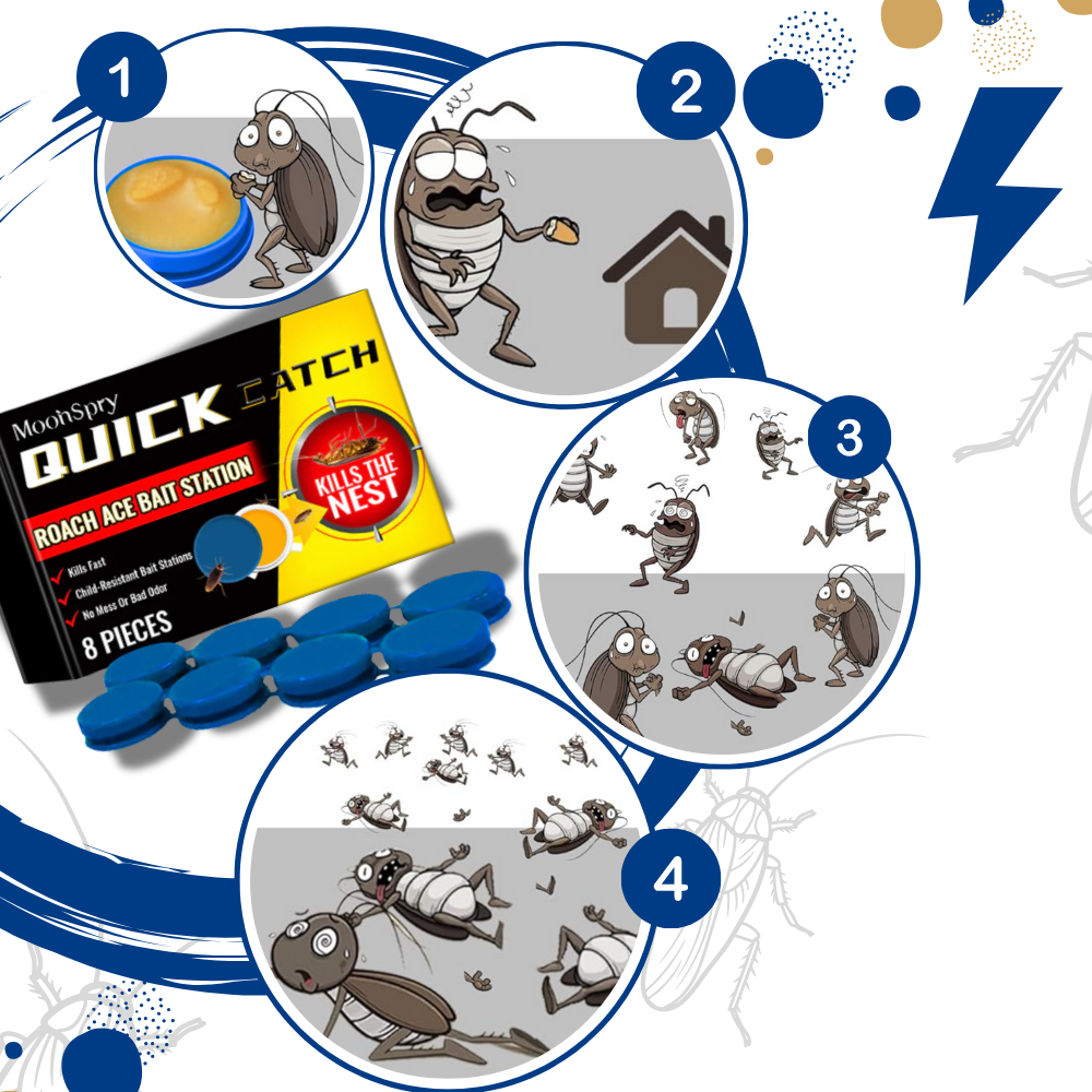 Pièges à blattes sans odeurs