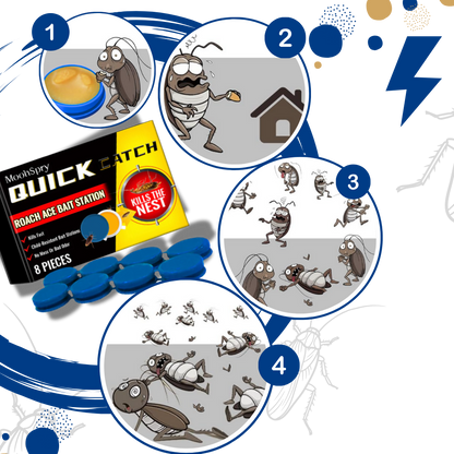 Pièges à blattes sans odeurs