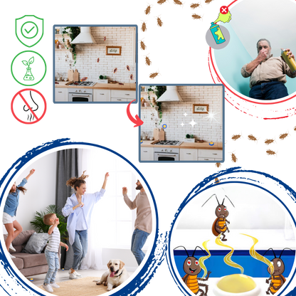 Pièges à blattes sans odeurs