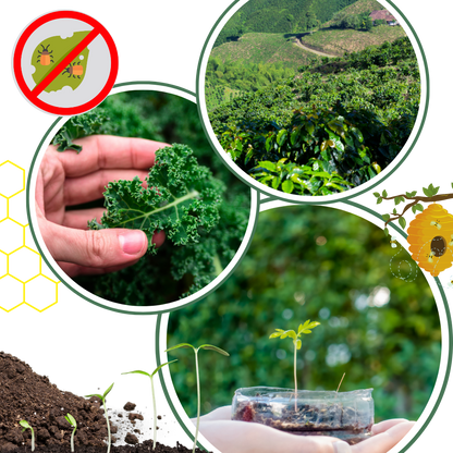 Activateur de sol à nutriments bio