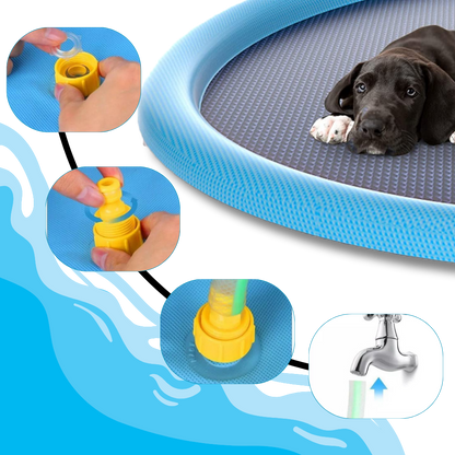 Pataugeoire portable pour chiens