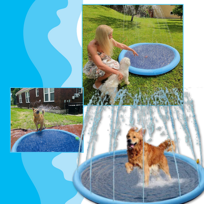 Pataugeoire portable pour chiens