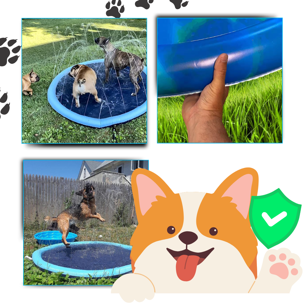 Pataugeoire portable pour chiens