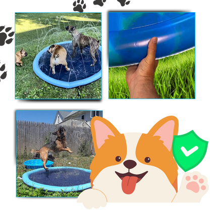 Pataugeoire portable pour chiens