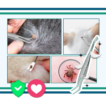 Pince à Tiques De Précision