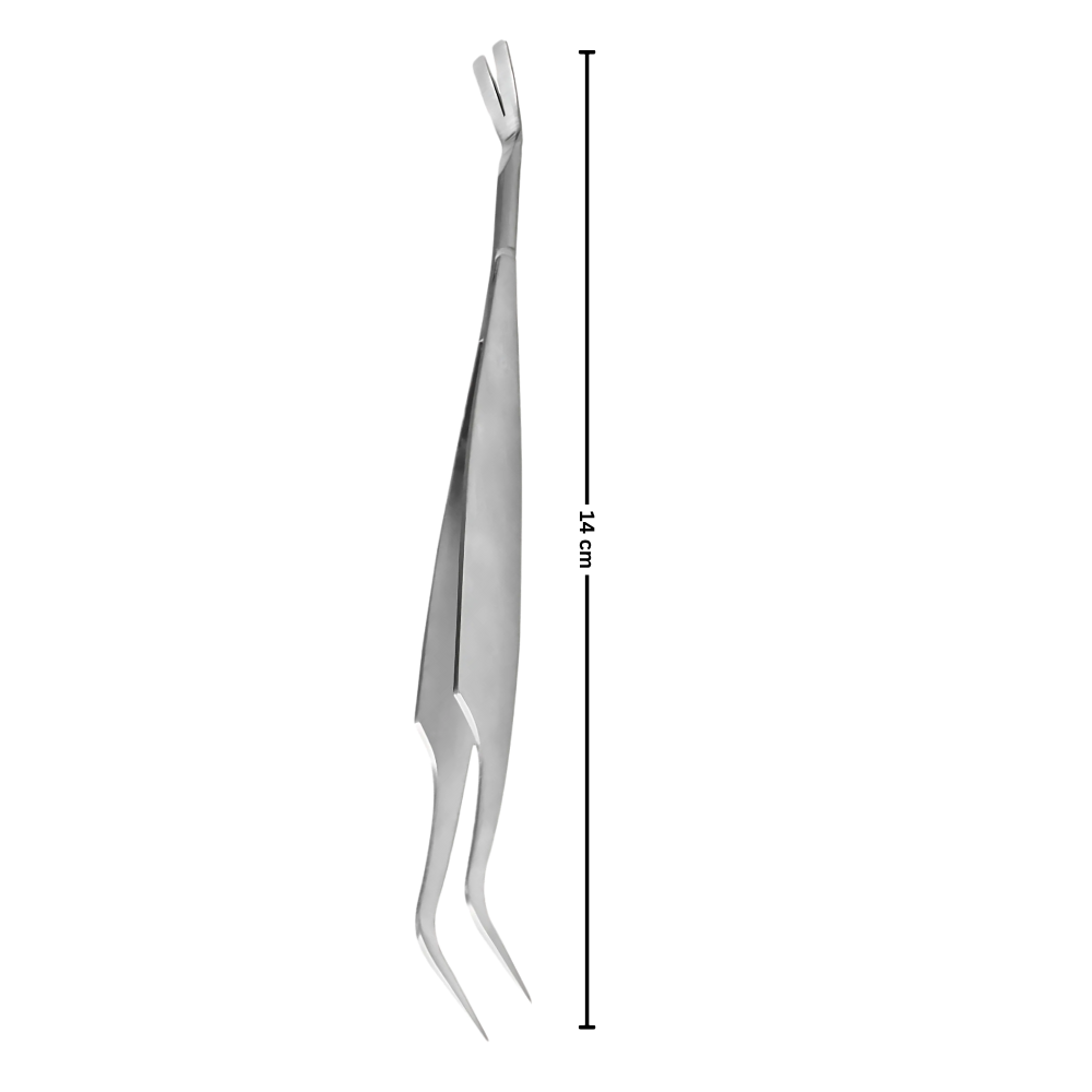 Pince à Tiques De Précision