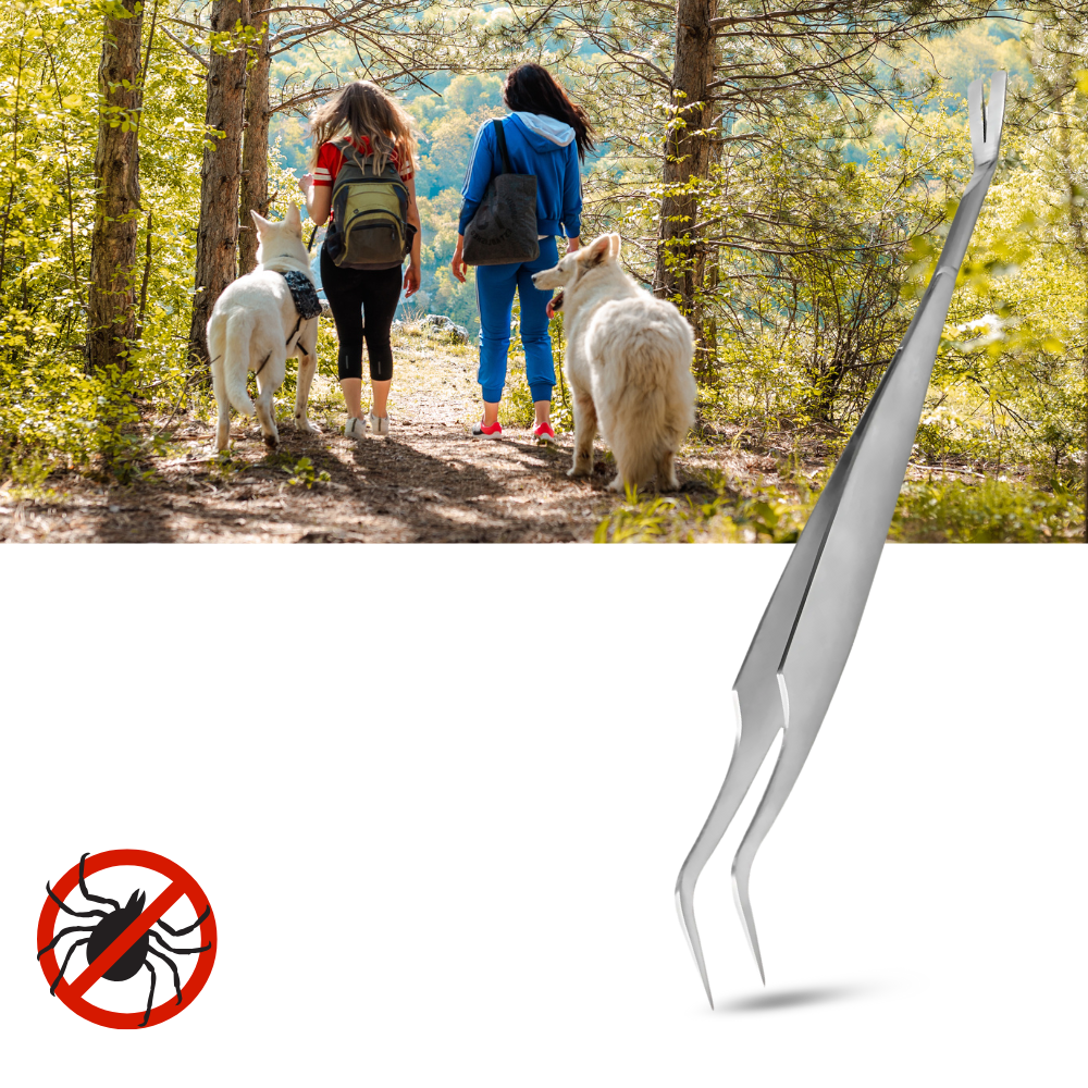 Pince à Tiques De Précision