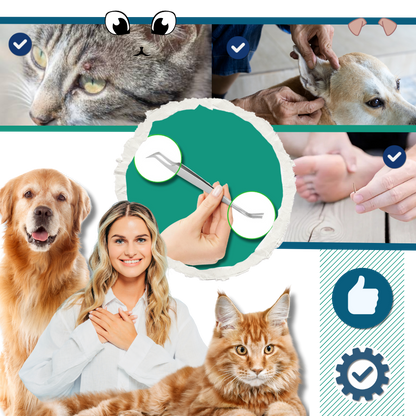 Pince à Tiques De Précision