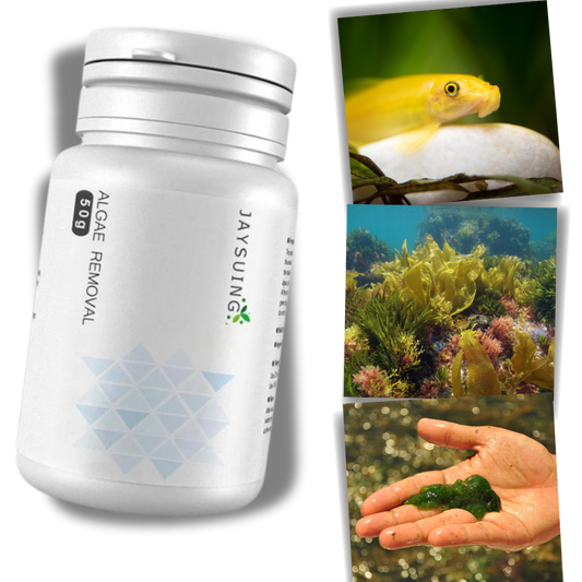 Produit anti-algues préventif pour aquarium