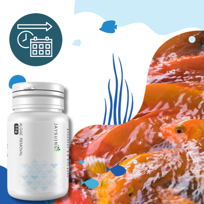 Produit anti-algues préventif pour aquarium