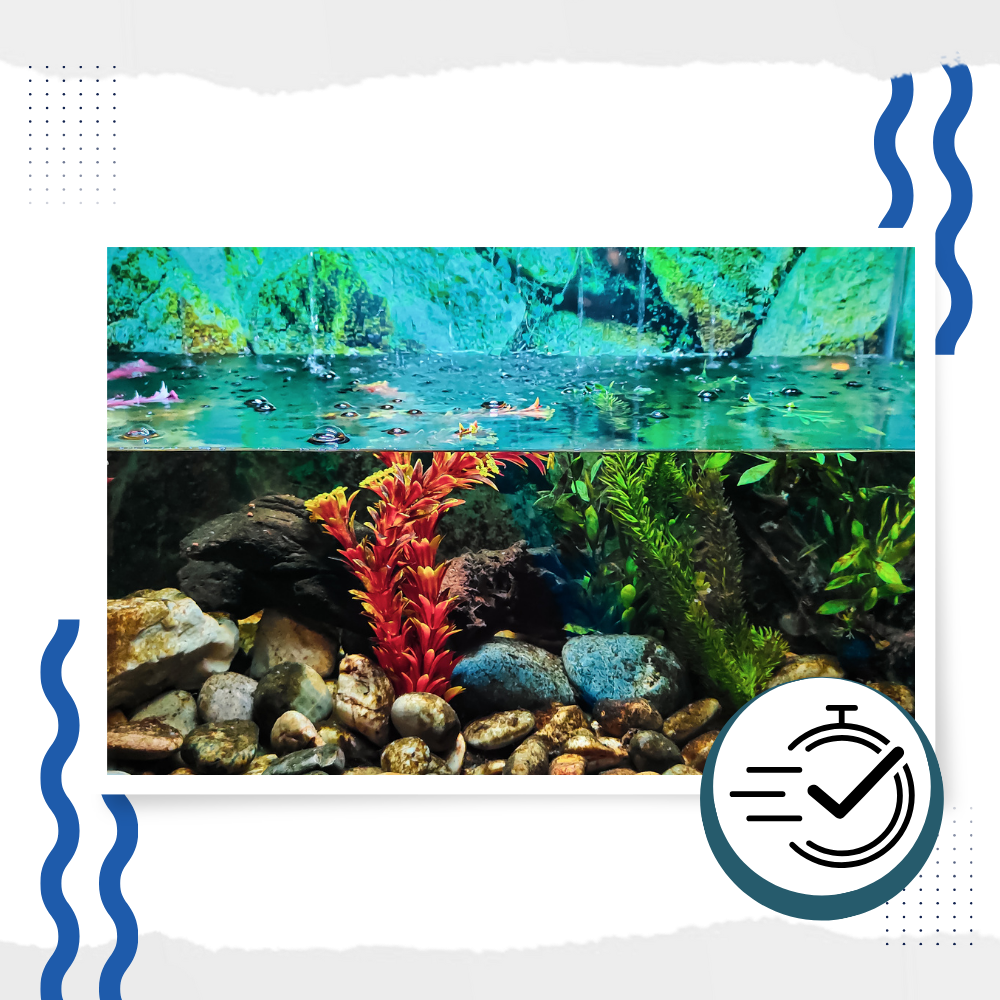 Produit anti-algues préventif pour aquarium