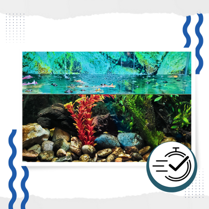 Produit anti-algues préventif pour aquarium