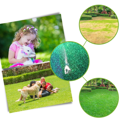 Spray revitalisant pour gazon