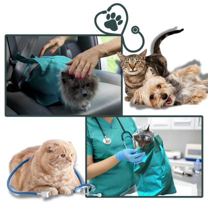 Sac de transport serein pour chat