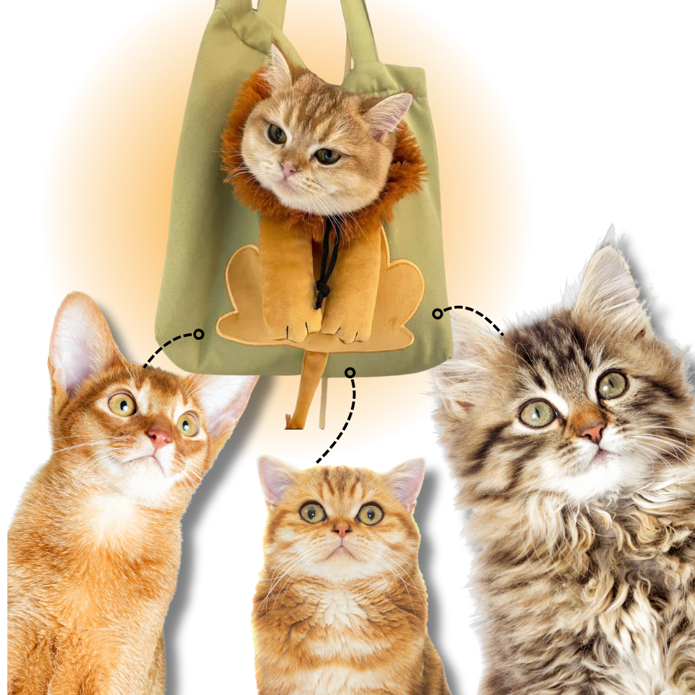 Sac pour chat Lion doux et respirant